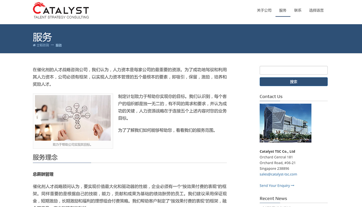 Catalyst TSC Services Page - Chinese