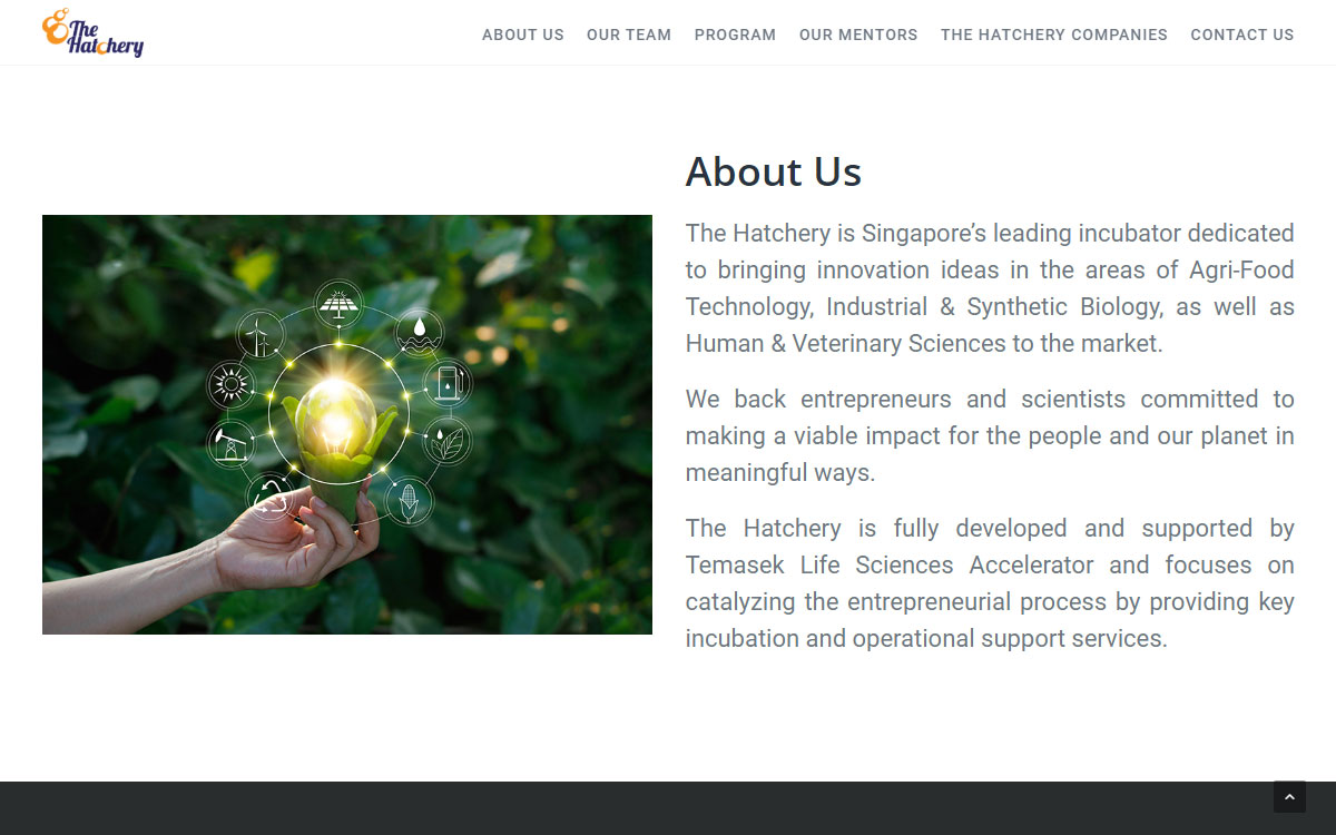 About Us — The Hatchery