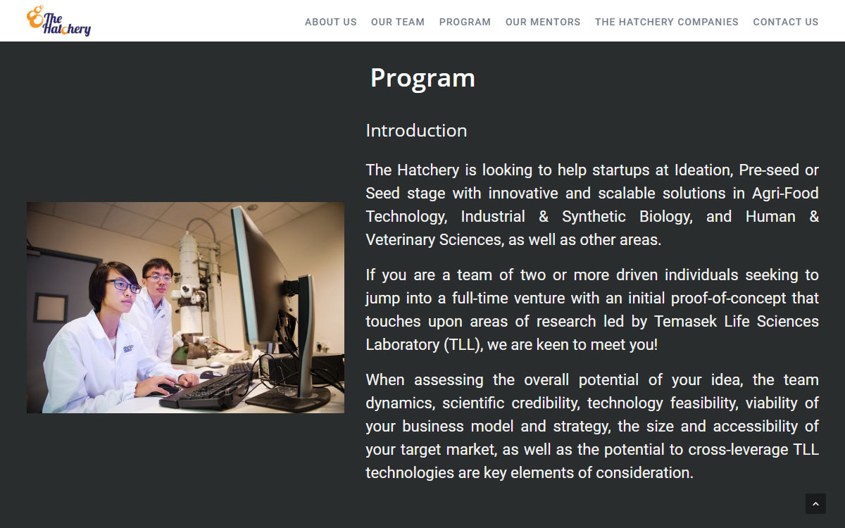 Program — The Hatchery