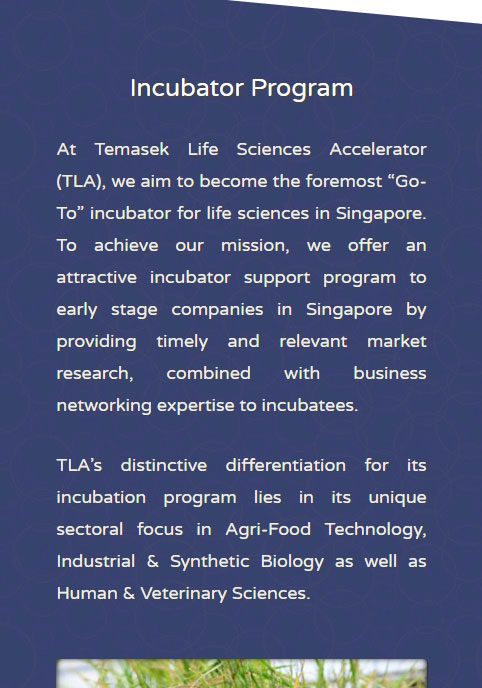 Incubator Program (Mobile) — Temasek Lifesciences Accelerator