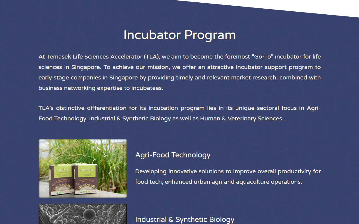 Incubator Program — Temasek Lifesciences Accelerator