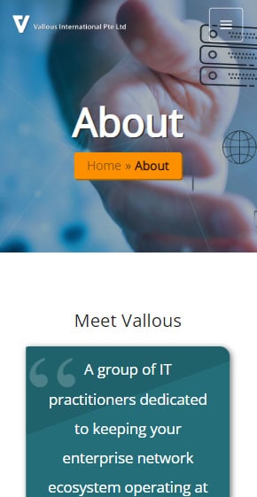 About Us (Mobile) — Vallous International Pte Ltd